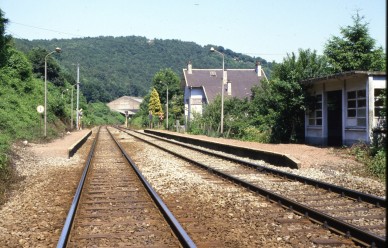 Sauheid -  84-9798.jpg